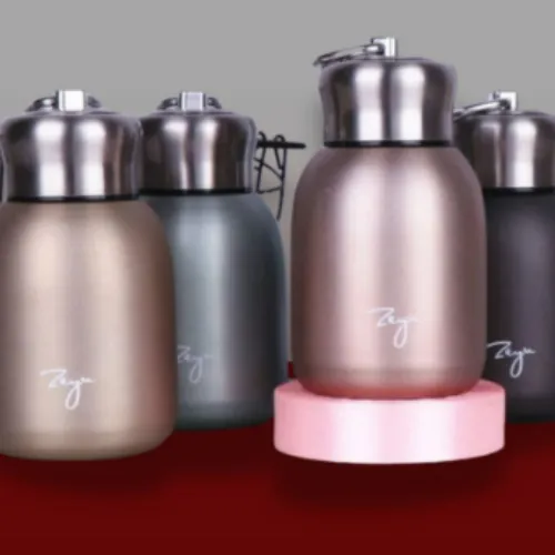 bình giữ nhiệt mini