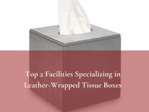 Leather - Wrapped Tissue Boxes